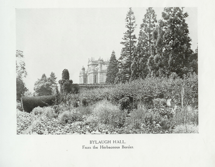 Herbaceous Border