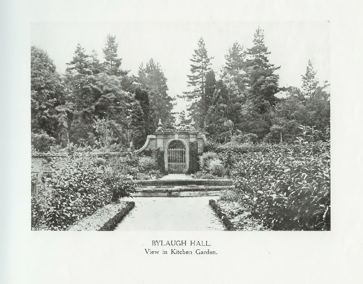 Kitchen Garden