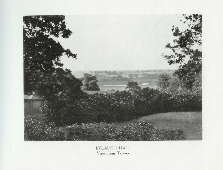 View from Terrace