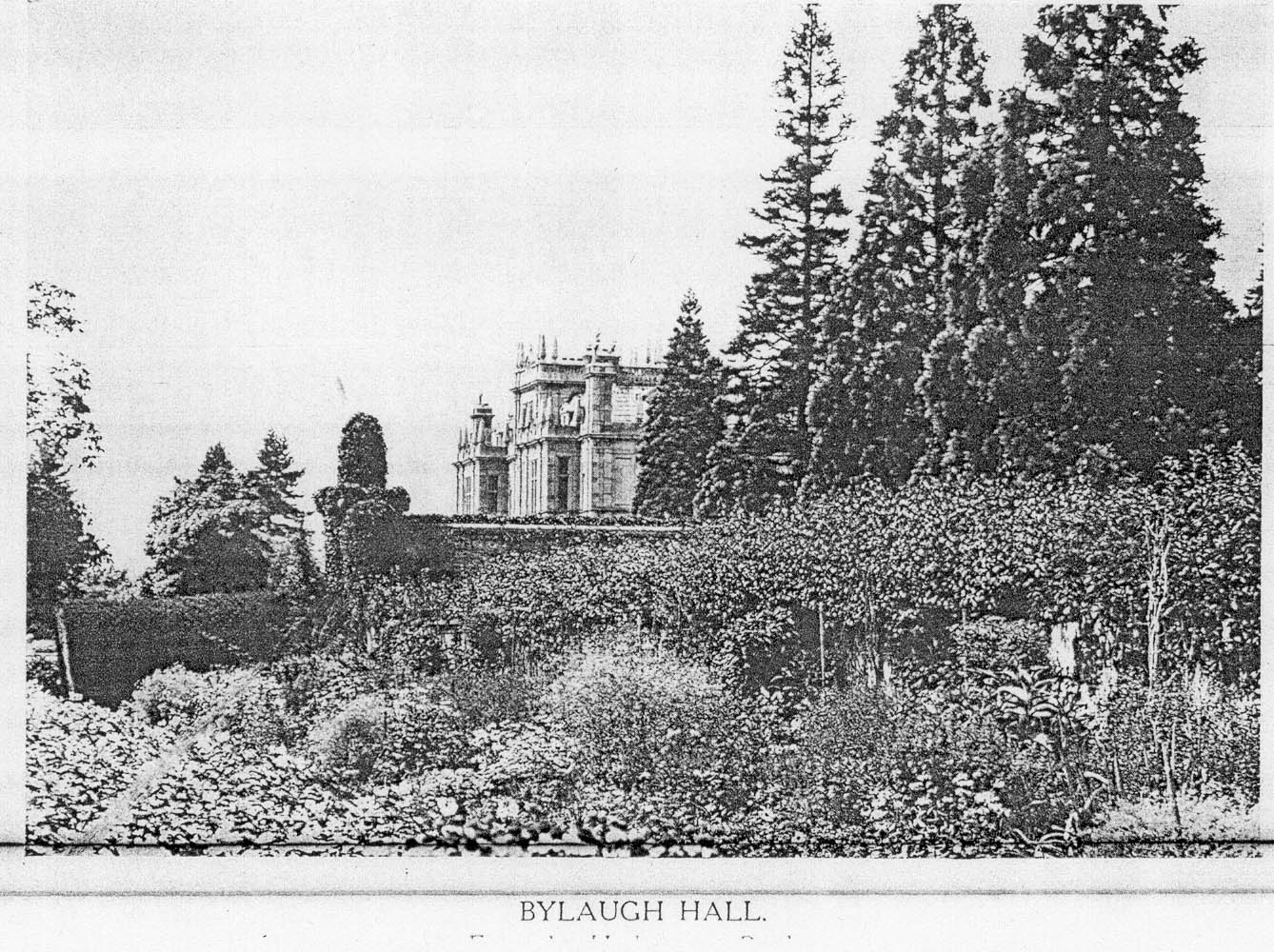 House & Garden