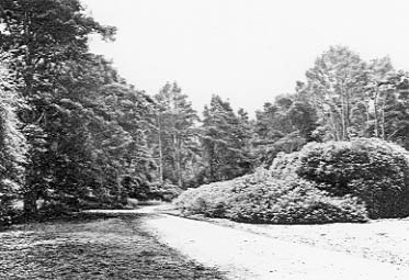 Bawdeswell Drive